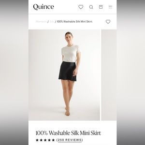 Quince 100% Silk Miniskirt